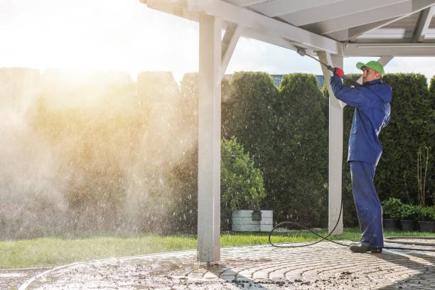 Best Paint Preparation  in Ladoga, IN