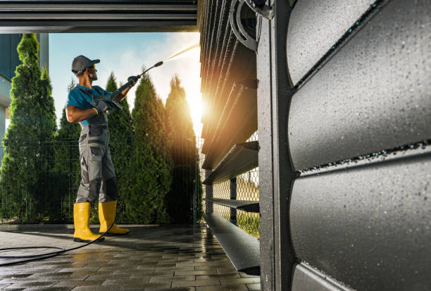 Best House Exterior Washing  in Ladoga, IN